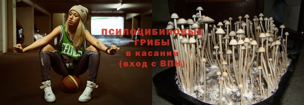 соль ск Балахна