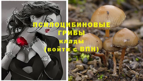 гашишное масло Балабаново