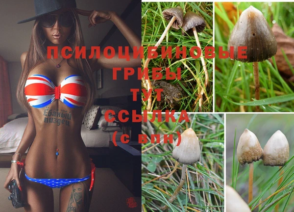 гашишное масло Балабаново