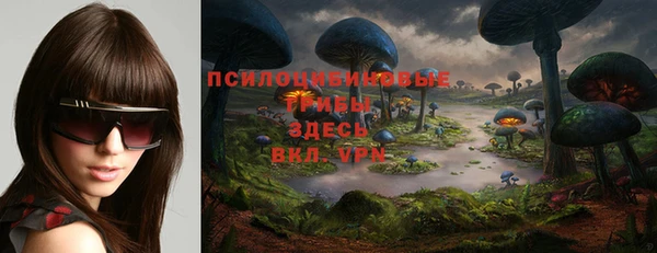 соль ск Балахна