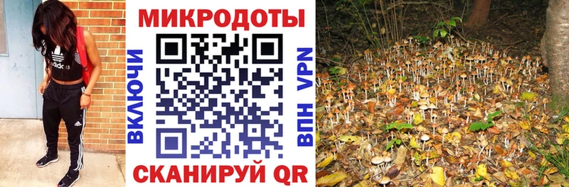 Галлюциногенные грибы Magic Shrooms  маркетплейс наркотические препараты  Черногорск 
